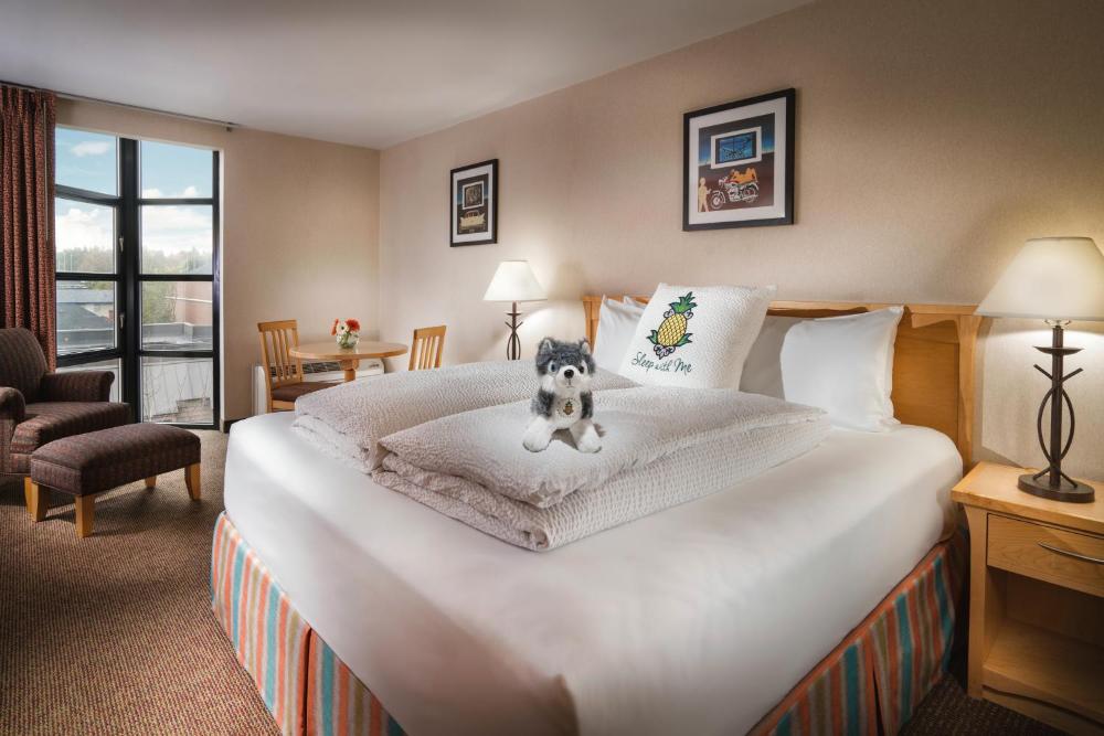 Deluxe King Room interior
